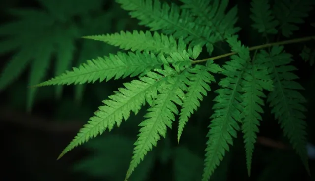 业务发展趋势：会议接待系统响应优化选型关注点